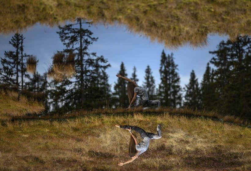 Bed and Breakfast Alpin Residenz Dachsteinperle