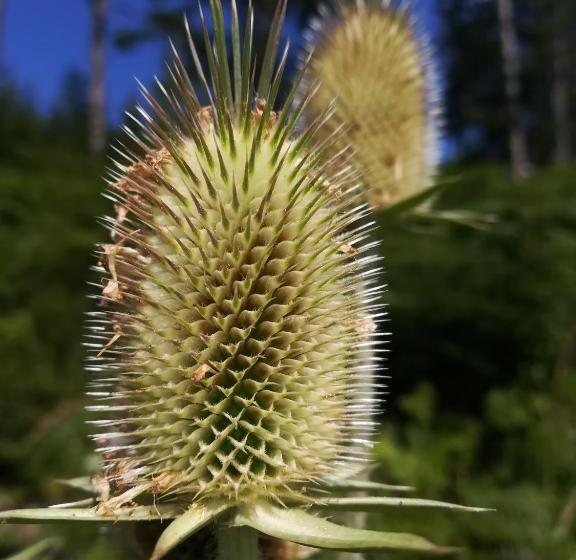 צימר Landhaus Seebacher