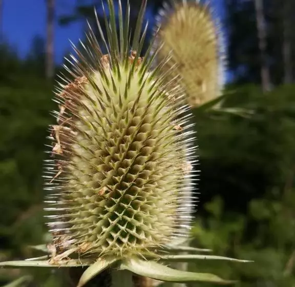 민박 Landhaus Seebacher