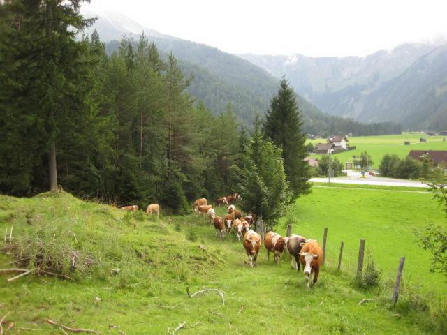 צימר Pension Englhof