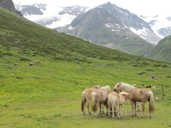 Apart Pepi´s Ferienwohnungen