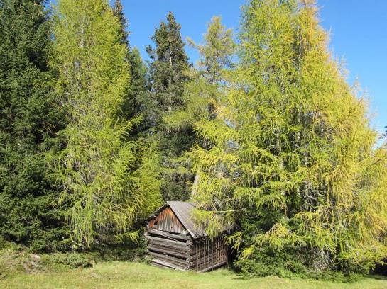 Apart Pepi´s Ferienwohnungen