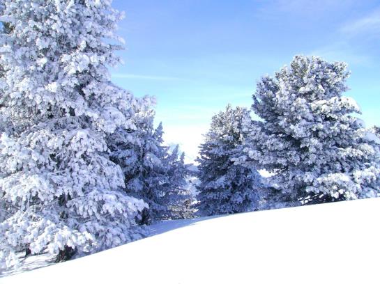 Apart Pepi´s Ferienwohnungen