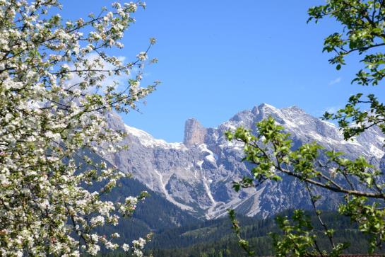 Bauernhof Oberlettlhof