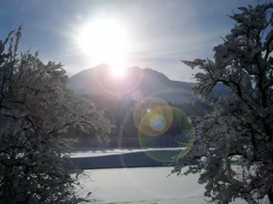 Bauernhof Schafflerhof