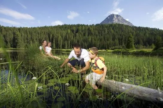 酒店 Dreiländerblick