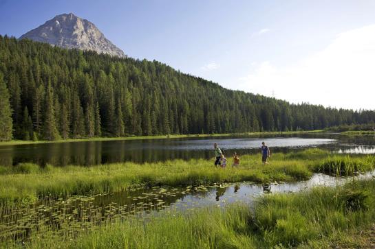 Отель Dreiländerblick