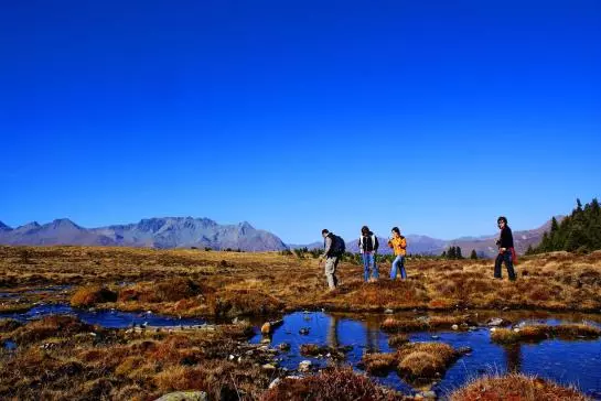 酒店 Dreiländerblick