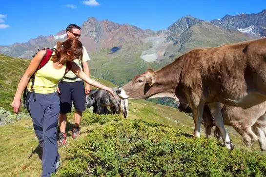 酒店 Dreiländerblick