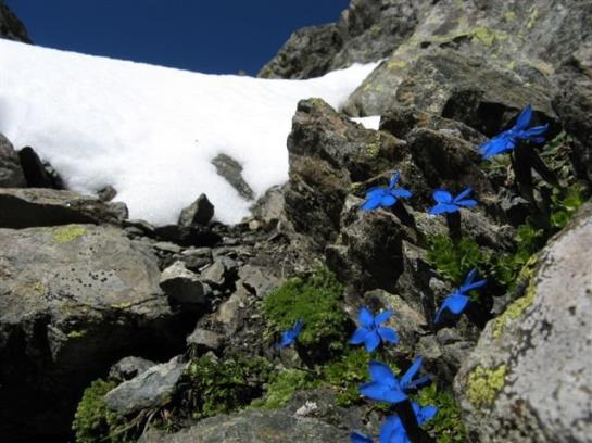 فندق Ferienwohnung Auderer