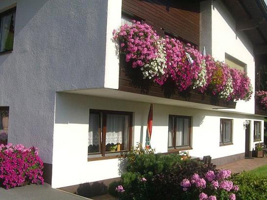 فندق Ferienwohnung Reinstadler