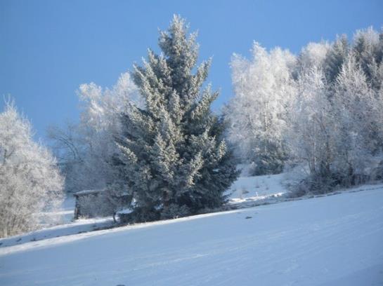 فندق Ferienwohnung Reinstadler