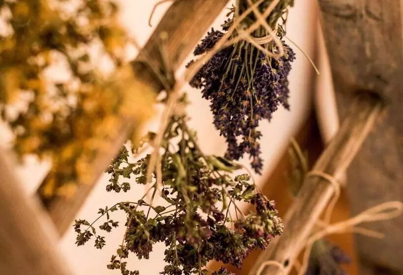 Отель Forster's Naturresort