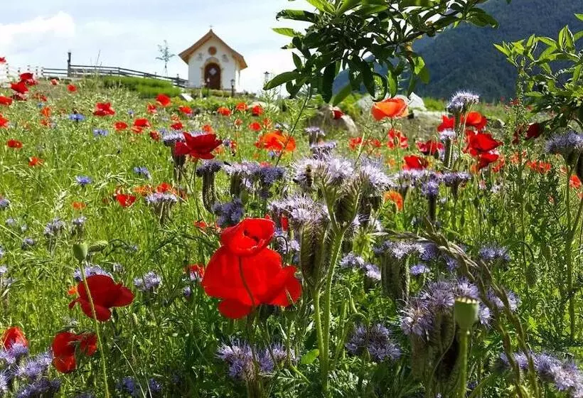 Отель Forster's Naturresort