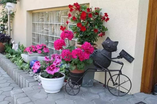 Bed & Breakfast Gabriele Plus Pension