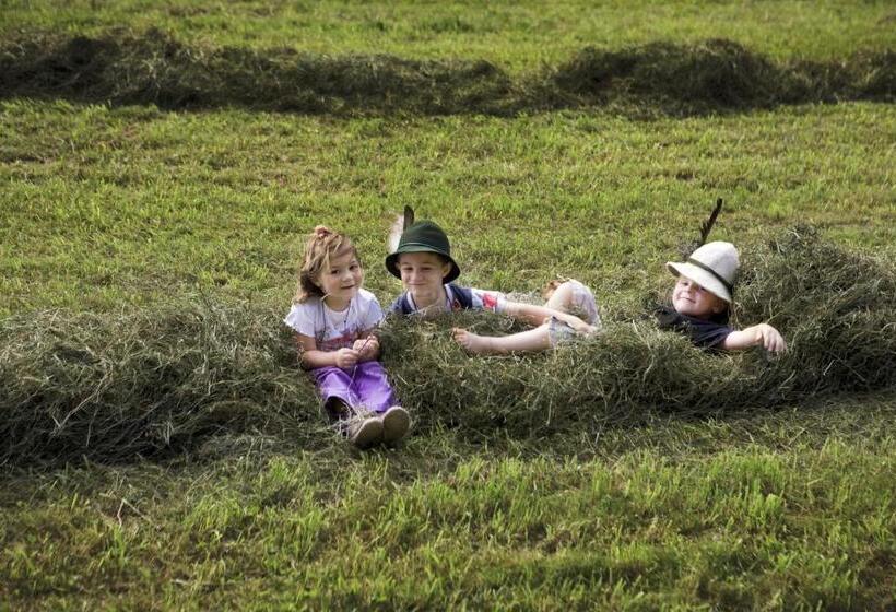 酒店 Gasthof Zum Stern