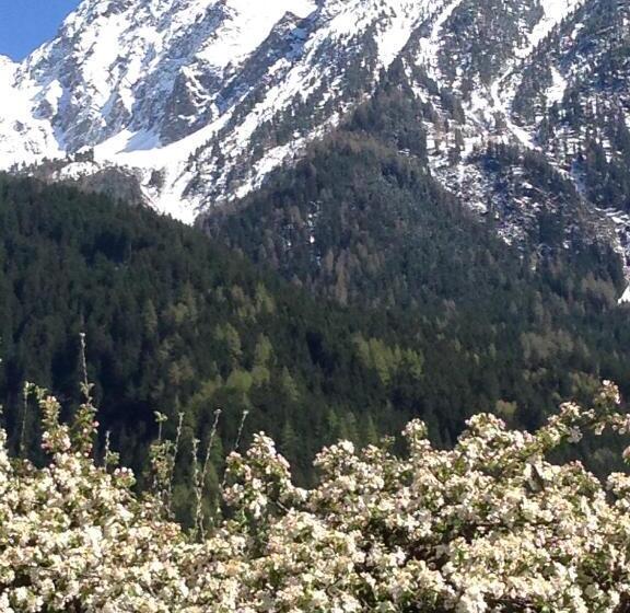 酒店 Gasthof Zum Stern