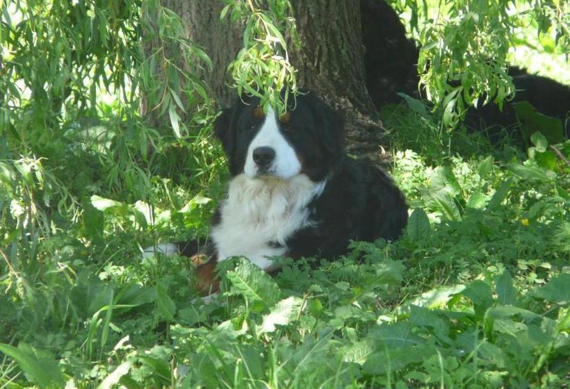 ホテル Landhaus Aubauerngut