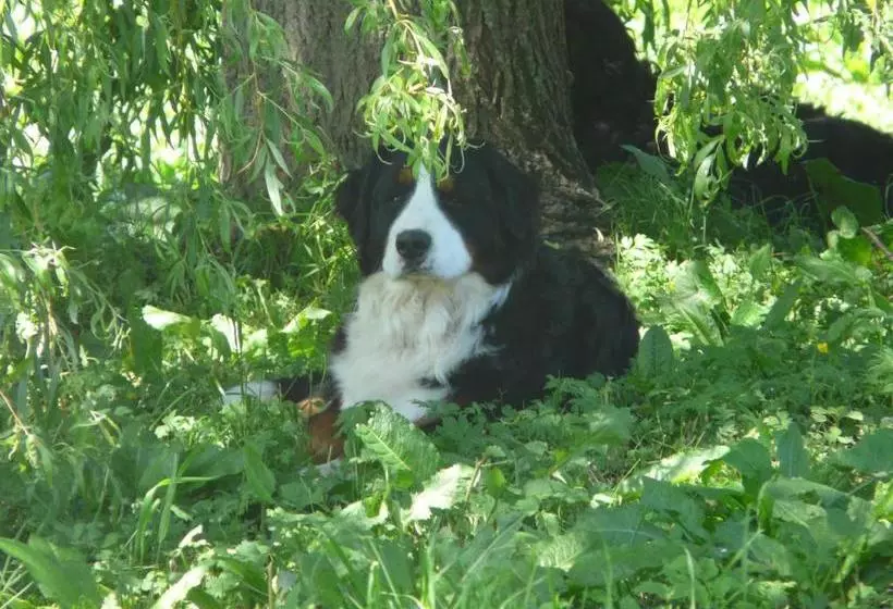 בית מלון כפרי Landhaus Aubauerngut