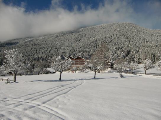 בית מלון כפרי Linserhof Bed&breakfast