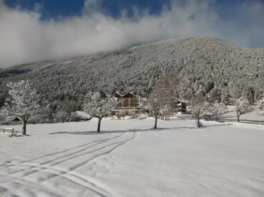 ホテル Linserhof Bed&breakfast