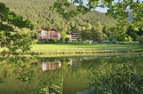 ホテル Linserhof Bed&breakfast