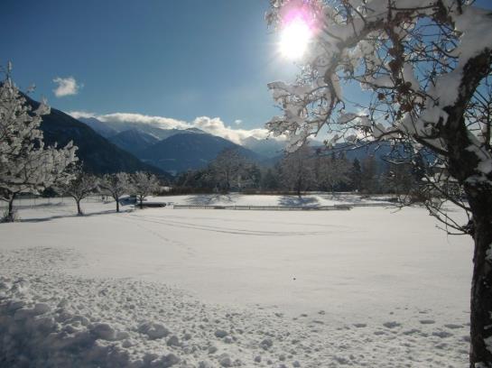 בית מלון כפרי Linserhof Bed&breakfast