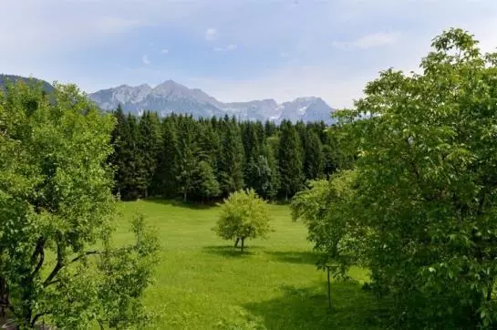 ベッドアンドブレックファースト Schnapflhof Pension