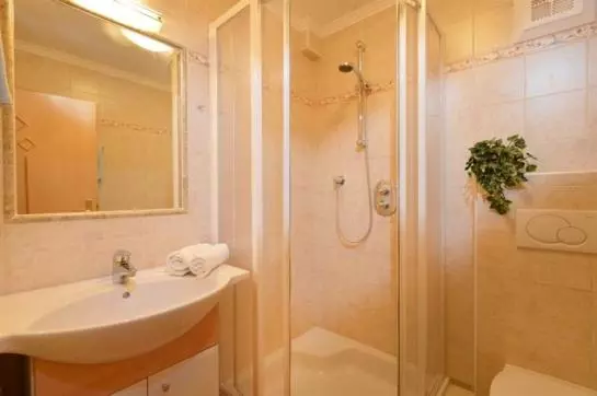 ベッドアンドブレックファースト Schnapflhof Pension