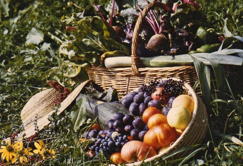 Landhaus Waldfrieden