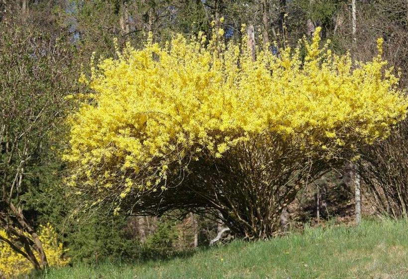 Landhaus Waldfrieden