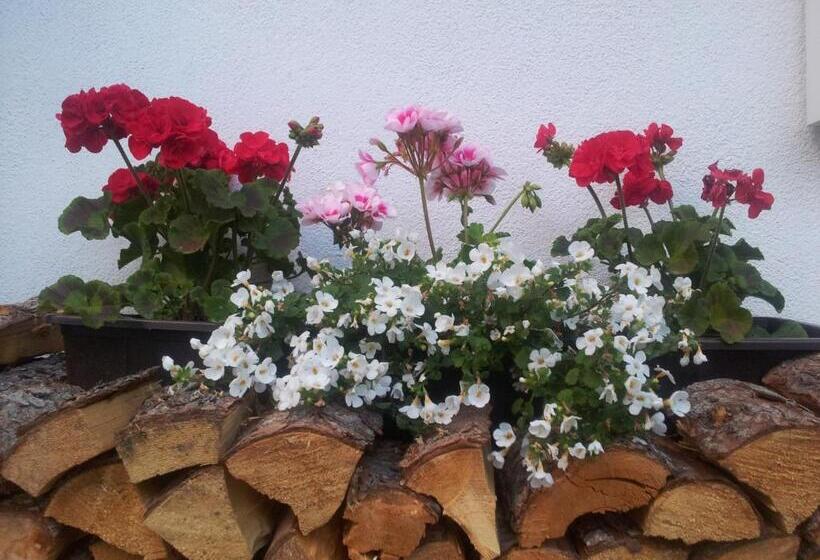 Apartments Biobauernhof Lercher