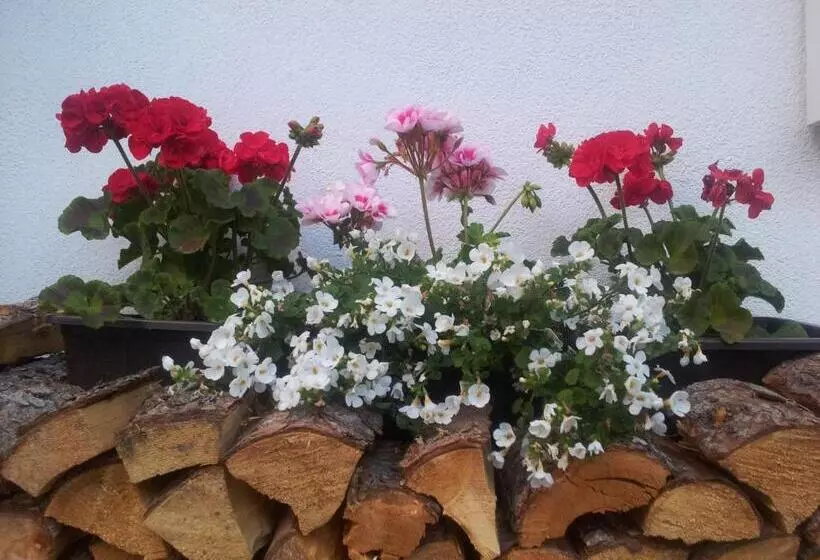 Apartments Biobauernhof Lercher