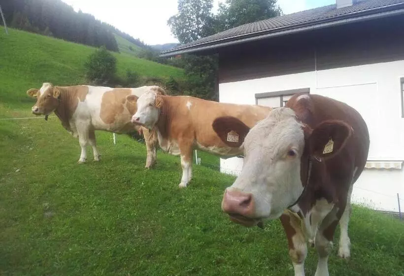 Apartments Biobauernhof Lercher