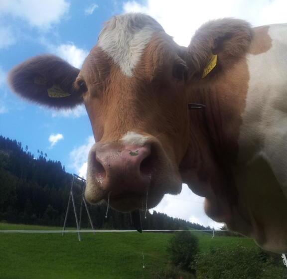 Apartments Biobauernhof Lercher