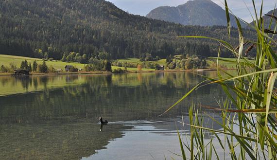 Haus Schluder Familie Stanitzer
