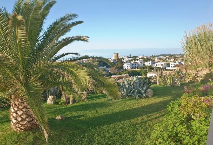 בית מלון כפרי Albatros