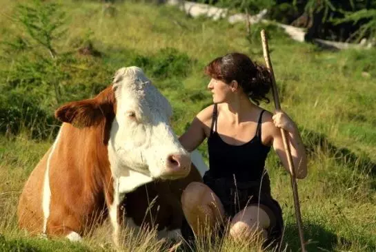Bauernhof Biohof Seidl