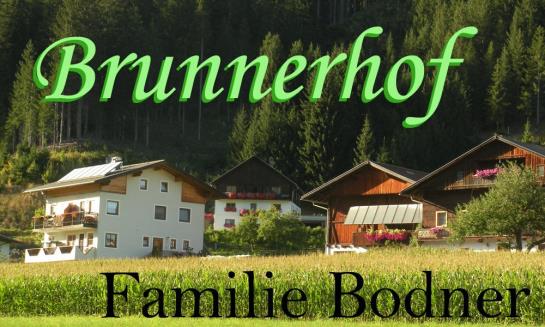Bauernhof Brunnerhof