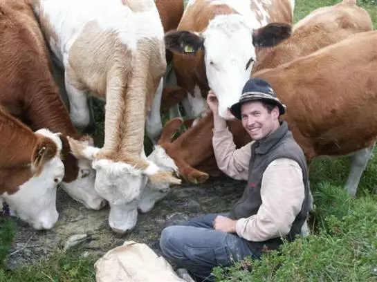 Bauernhof Schoberhof