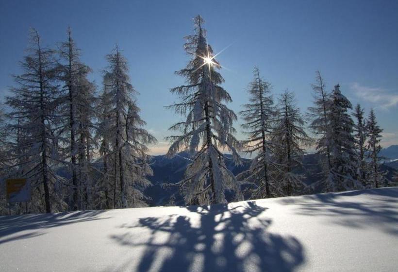 فندق Gutzingerhof