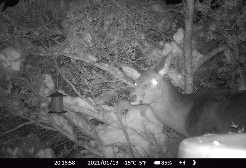 Отель Haus Anni