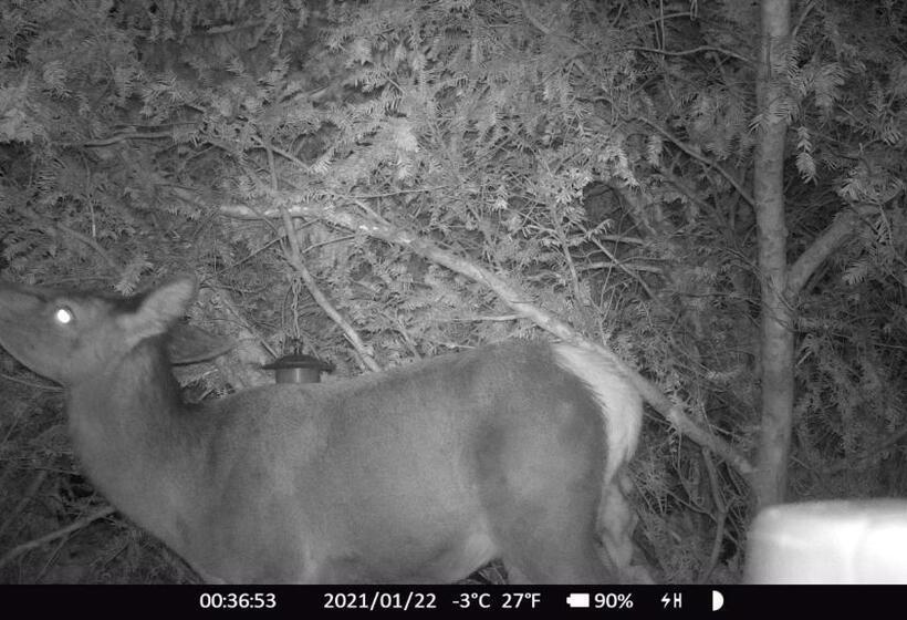 Отель Haus Anni