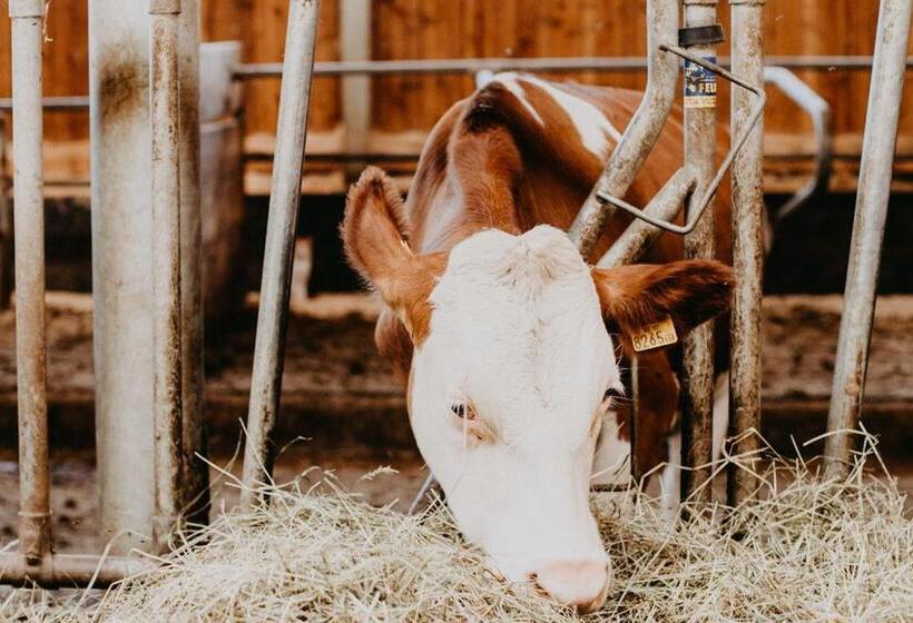 Отель Hinteregger