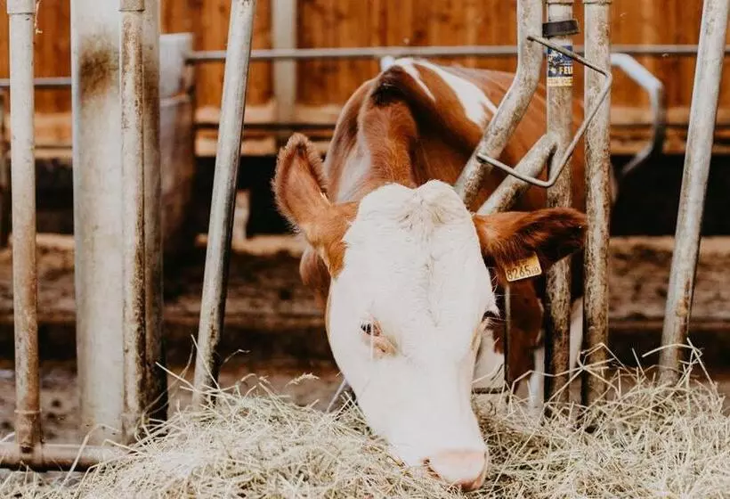 Отель Hinteregger