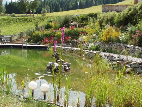 ベッドアンドブレックファースト Hofer Pension