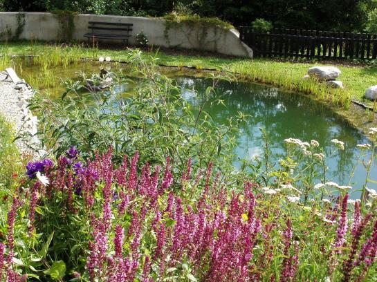 ベッドアンドブレックファースト Hofer Pension