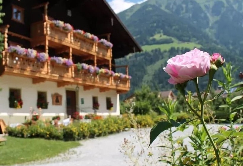 בית מלון כפרי Zittrauerhof   Urlaub Am Bauernhof Gastein