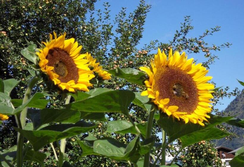 בית מלון כפרי Zittrauerhof   Urlaub Am Bauernhof Gastein