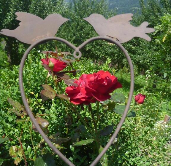 בית מלון כפרי Zittrauerhof   Urlaub Am Bauernhof Gastein